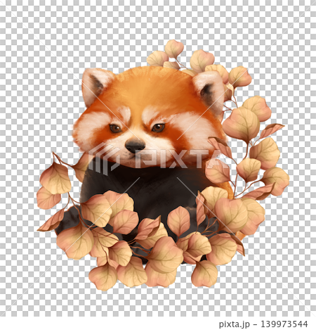 Cute hand drawn red panda with autumn leaves nursery illustration Cute hand drawn red panda with autumn leaves nursery illustration 139973544