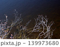 早春の尾瀬。山には白い残雪が。雪が融け、池塘がどんどん広がって、満々と雪解け水を貯めこんでいく。 早春の尾瀬。山には白い残雪が。雪が融け、池塘がどんどん広がって、満々と雪解け水を貯めこんでいく。 139973680