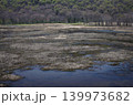 早春の尾瀬。山には白い残雪が。雪が融け、池塘がどんどん広がって、満々と雪解け水を貯めこんでいく。 早春の尾瀬。山には白い残雪が。雪が融け、池塘がどんどん広がって、満々と雪解け水を貯めこんでいく。 139973682