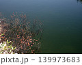 早春の尾瀬。山には白い残雪が。雪が融け、池塘がどんどん広がって、満々と雪解け水を貯めこんでいく。 早春の尾瀬。山には白い残雪が。雪が融け、池塘がどんどん広がって、満々と雪解け水を貯めこんでいく。 139973683