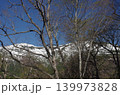 尾瀬の春は遅い。5月というのに山にはまだたっぷりの雪が残り、歩くルートの日陰にも雪が残っている。 尾瀬の春は遅い。5月というのに山にはまだたっぷりの雪が残り、歩くルートの日陰にも雪が残っている。 139973828
