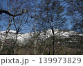 尾瀬の春は遅い。5月というのに山にはまだたっぷりの雪が残り、歩くルートの日陰にも雪が残っている。 尾瀬の春は遅い。5月というのに山にはまだたっぷりの雪が残り、歩くルートの日陰にも雪が残っている。 139973829