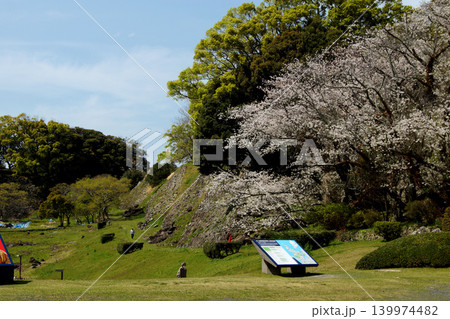 佐賀県の歴史的観光名所、「名護屋城跡」　満開の桜で賑わう春の風景 139974482