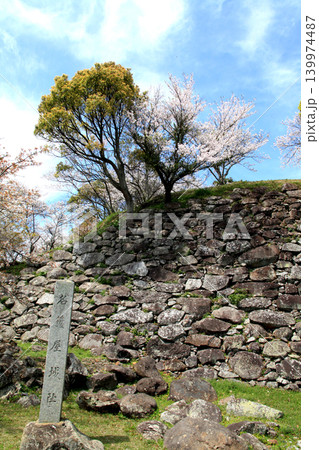 佐賀県の歴史的観光名所、「名護屋城跡」　満開の桜で賑わう春の風景 139974487