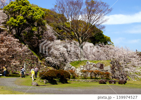 佐賀県の歴史的観光名所、「名護屋城跡」 満開の桜で賑わう春の風景 佐賀県の歴史的観光名所、「名護屋城跡」 満開の桜で賑わう春の風景 139974527