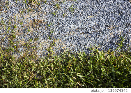 Rocks And Grass In Early Dawn, A peaceful photo of rocks and grass covered in morning, soft golden light gently touching the wet surfaces, perfect for serene or contryside documentary. Rocks And Grass In Early Dawn, A peaceful photo of rocks and grass covered in morning, soft golden light gently touching the wet surfaces, perfect for serene or contryside documentary. 139974542