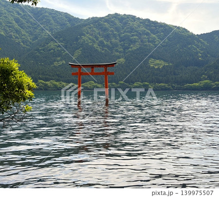 芦ノ湖に立つ九頭龍神社の赤い鳥居と緑の山並み 139975507