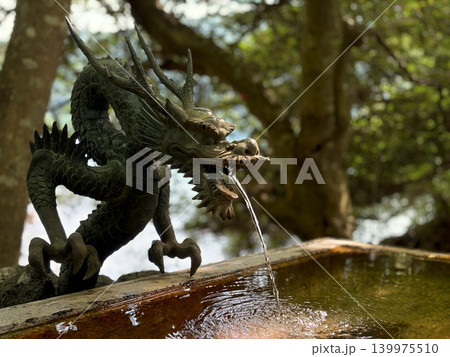 箱根九頭龍神社の手水舎の龍の石像から流れる水 139975510