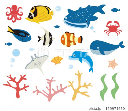 海の生き物 シンプル可愛い 海の生き物 シンプル可愛い 139975650