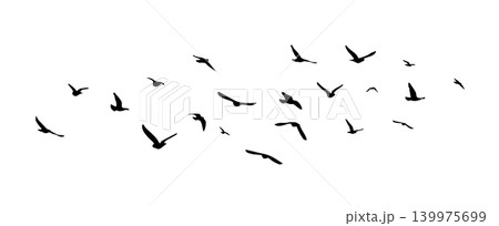 Flying birds silhouette flock. hand drawing. Not AI. Vector illustration Flying birds silhouette flock. hand drawing. Not AI. Vector illustration 139975699