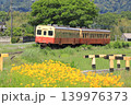小湊鐵道「オオキンケイギク咲く初夏のローカル線風景」 小湊鐵道「オオキンケイギク咲く初夏のローカル線風景」 139976373