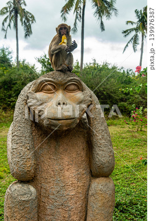 A monkey on a statue at the Monkey Island Park in Nha Trang in Vietnam 139976387