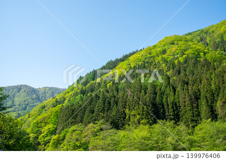 福福地温泉街から望む新緑の山並み《岐阜県 高山市 奥飛騨温泉郷》 139976406