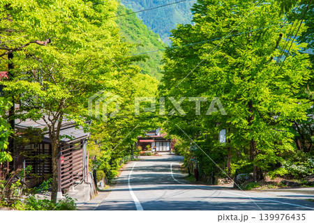 新緑シーズンの福地温泉街《岐阜県 高山市 奥飛騨温泉郷》 139976435
