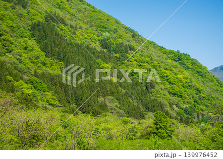 福福地温泉街から望む新緑の山並み《岐阜県 高山市 奥飛騨温泉郷》 139976452