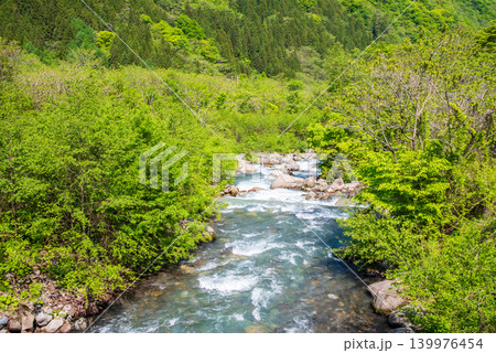 新緑シーズンの福地温泉街を流れる高原川《岐阜県 高山市 奥飛騨温泉郷》 139976454
