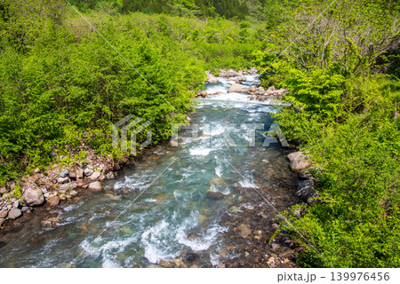 新緑シーズンの福地温泉街を流れる高原川《岐阜県 高山市 奥飛騨温泉郷》 新緑シーズンの福地温泉街を流れる高原川《岐阜県 高山市 奥飛騨温泉郷》 139976456