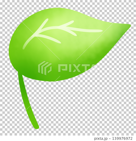 A simple illustration of green leaves A simple illustration of green leaves 139976972