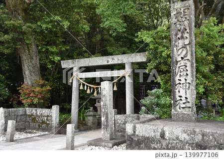 五月、世界遺産で日本最古の花の窟神社 五月、世界遺産で日本最古の花の窟神社 139977106