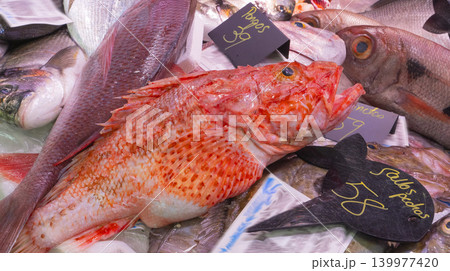 Fresh Fish Market, Spain Fresh Fish Market, Spain 139977420