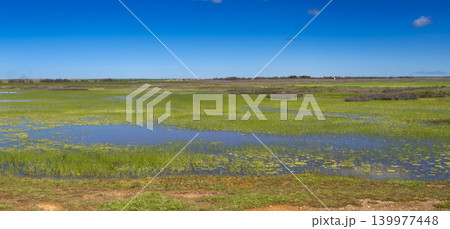 Lagunas de Villafafila Natural Reserve, Spain 139977448