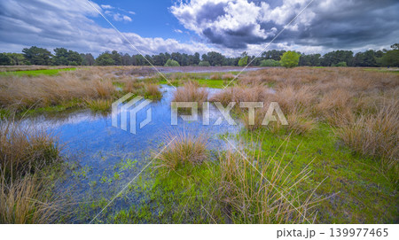 Lagunas de Cantalejo Special Protection Area, Spain 139977465