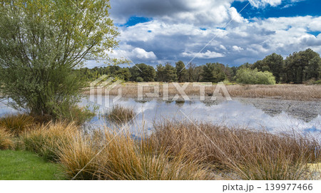 Lagunas de Cantalejo Special Protection Area, Spain 139977466