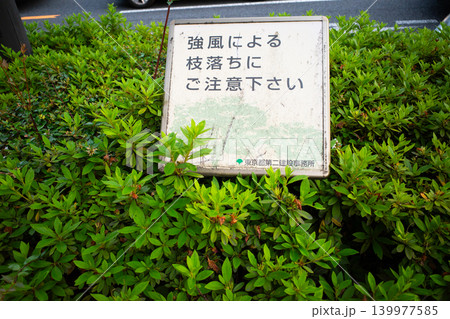強風枝落ち注意 139977585