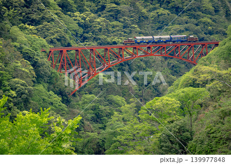 南阿蘇第一橋梁新緑とトロッコ列車 139977848