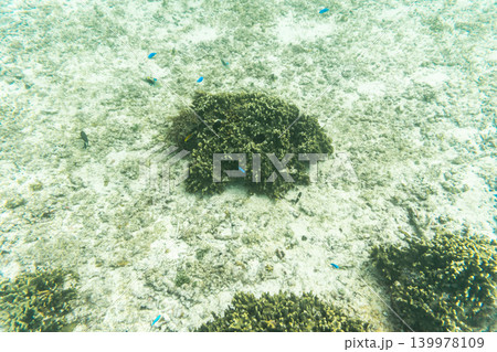 宮古島・ワイワイビーチの透明な海とサンゴ礁 宮古島・ワイワイビーチの透明な海とサンゴ礁 139978109
