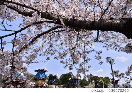 日本の愛知県の犬山市　春の犬山祭りと満開の桜　犬山城前広場に集まる車山　からくり人形の奉納前の光景 139978299