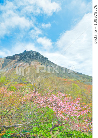 栃木県那須郡那須町 茶臼岳とミネザクラ 栃木県那須郡那須町 茶臼岳とミネザクラ 139978376
