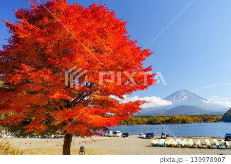 精進湖から見る富士山と紅葉 秋の富士五湖の絶景 精進湖から見る富士山と紅葉 秋の富士五湖の絶景 139978907
