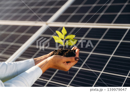 Human hands holding a small green seedling in front of solar panels 139979047