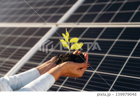 Human hands holding a small green seedling in front of solar panels Human hands holding a small green seedling in front of solar panels 139979048