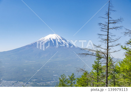 新緑の枝越しに望む冠雪の富士山 新緑の枝越しに望む冠雪の富士山 139979113
