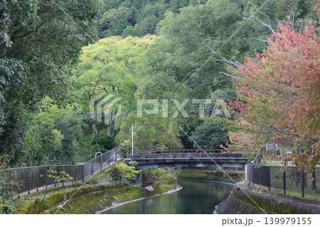 紅葉のある風景 139979155