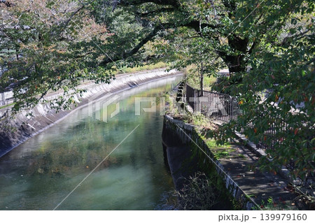 川のある風景 川のある風景 139979160