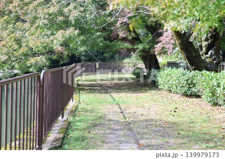 木々に囲まれた小道 139979173