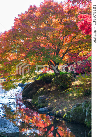 【特別名勝】栗林公園 晩秋の風景 紅葉と潺湲池6 香川県高松市 【特別名勝】栗林公園 晩秋の風景 紅葉と潺湲池6 香川県高松市 139979181
