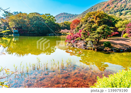 【特別名勝】栗林公園 晩秋の風景 群鴨池と紅葉と瞰鴨閣4 香川県高松市 【特別名勝】栗林公園 晩秋の風景 群鴨池と紅葉と瞰鴨閣4 香川県高松市 139979190