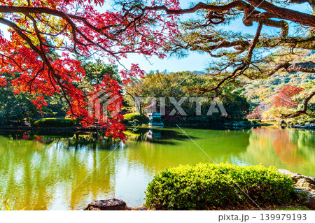 【特別名勝】栗林公園 晩秋の風景 群鴨池と紅葉と瞰鴨閣2 香川県高松市 【特別名勝】栗林公園 晩秋の風景 群鴨池と紅葉と瞰鴨閣2 香川県高松市 139979193
