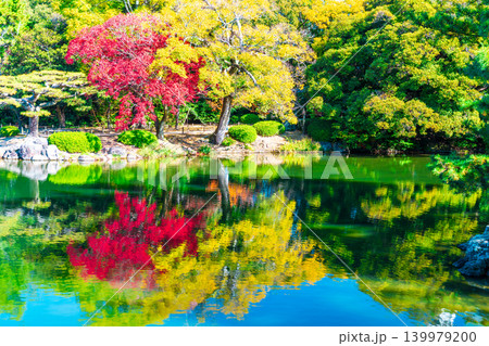 【特別名勝】栗林公園 晩秋の風景 群鴨池と紅葉6 香川県高松市 【特別名勝】栗林公園 晩秋の風景 群鴨池と紅葉6 香川県高松市 139979200