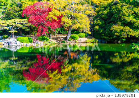 【特別名勝】栗林公園 晩秋の風景 群鴨池と紅葉5 香川県高松市 【特別名勝】栗林公園 晩秋の風景 群鴨池と紅葉5 香川県高松市 139979201