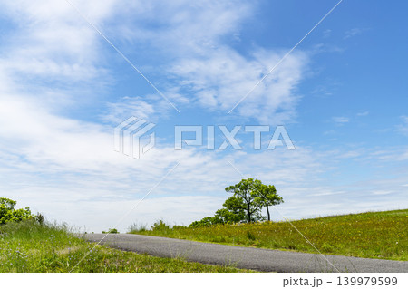 青空と雲と草原と道路 青空と雲と草原と道路 139979599