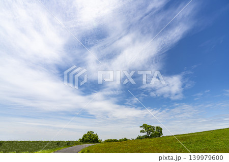 青空と雲と草原と道路 青空と雲と草原と道路 139979600