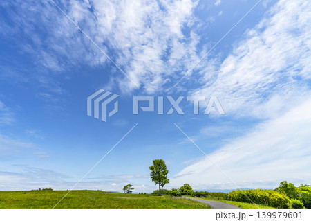 青空と雲と草原と道路 青空と雲と草原と道路 139979601