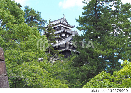 松江城 大手門から見た天守(島根県松江市) 松江城 大手門から見た天守(島根県松江市) 139979900