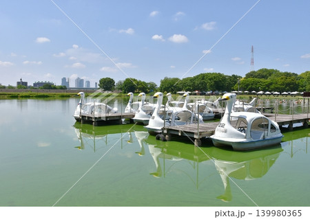 庄内緑地のボート池とスワンボート 庄内緑地のボート池とスワンボート 139980365