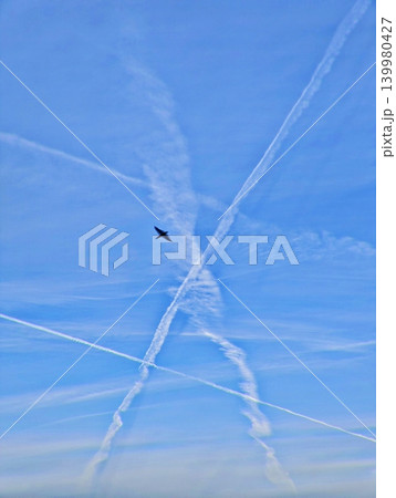 A lone bird soaring high in a vibrant blue sky, framed by complex geometric patterns of multiple intersecting airplane condensation trails. A powerful contrast between nature and aviation technology. A lone bird soaring high in a vibrant blue sky, framed by complex geometric patterns of multiple intersecting airplane condensation trails. A powerful contrast between nature and aviation technology. 139980427